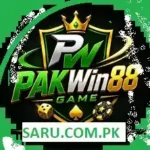 PakWin88 Game