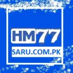 HM77 Game