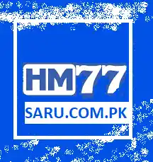 HM77 Game